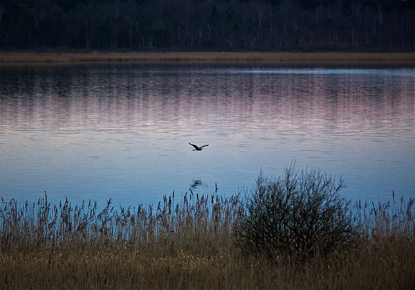 Floating